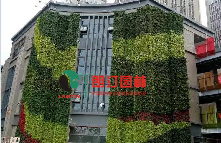 云南植物墻案例圖