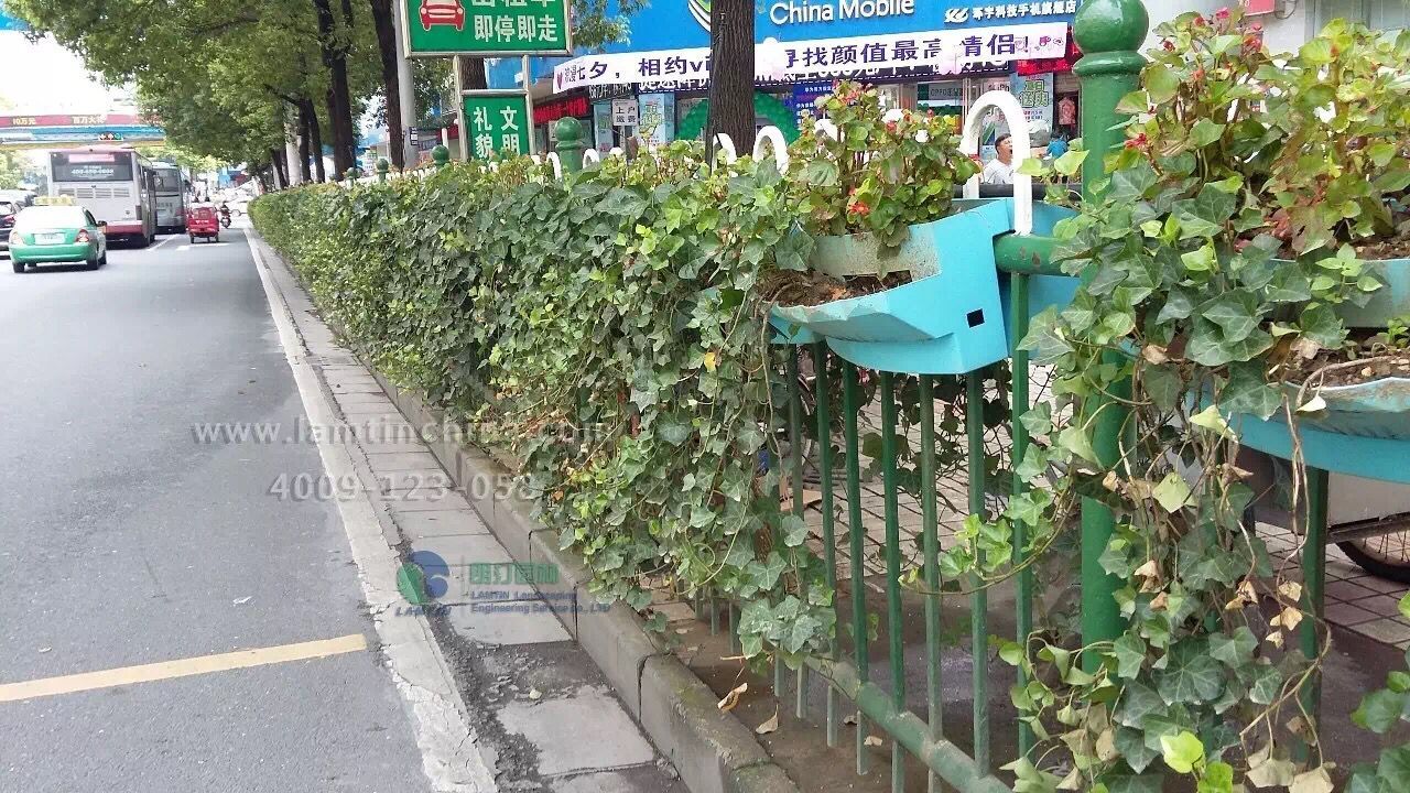 護(hù)欄綠化